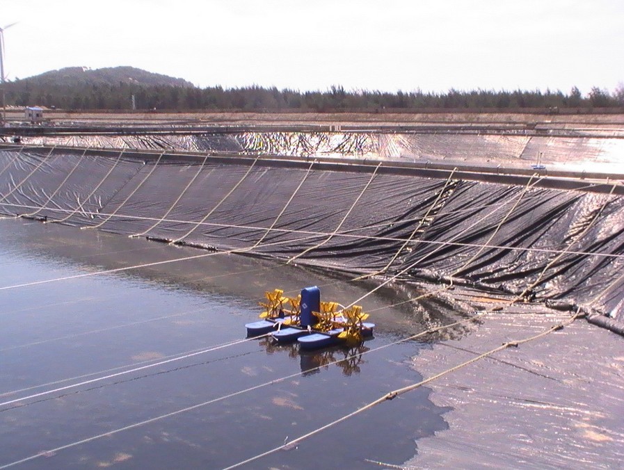 藕池专用膜,海参养殖膜,藕池防渗膜, 水产养殖膜就打1321061501